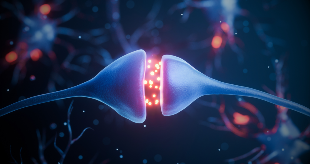 Synapse showing ketamine effects on anxiety pathways